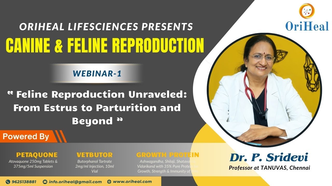 Webinar-1 “Feline Reproduction Unraveled: From Estrus to Parturition and Beyond