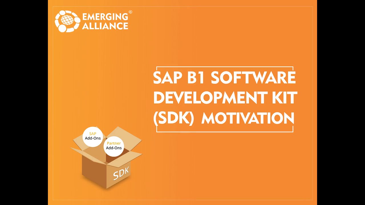 SAP BUSINESS ONE SOFTWARE DEVELOPMENT KIT (SDK) - MOTIVATION