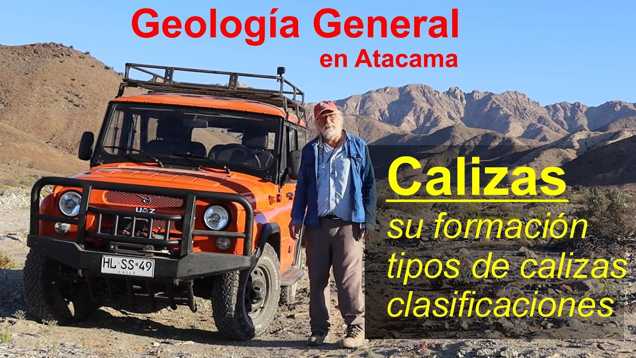 Calizas, Introducción a la Geología:  Roca sedimentaria organogenia - química
