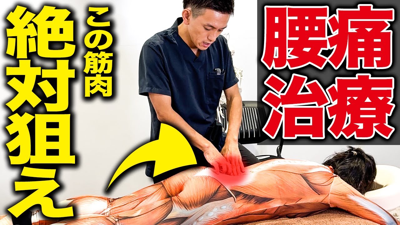 【開業してる治療家必見】腰痛治療で狙うべき「多裂筋」の全てが分かる神ワザ治療法！