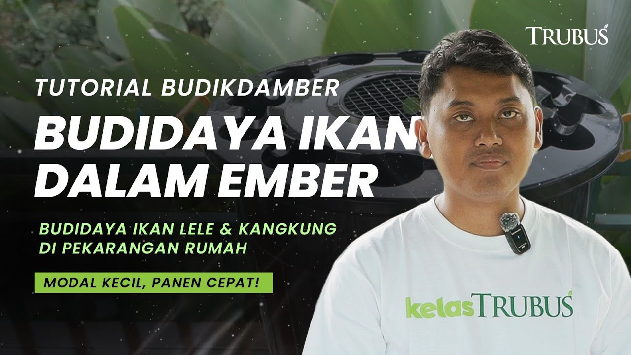 Tutorial Budikdamber: Budidaya Lele dan Kangkung di Pekarangan