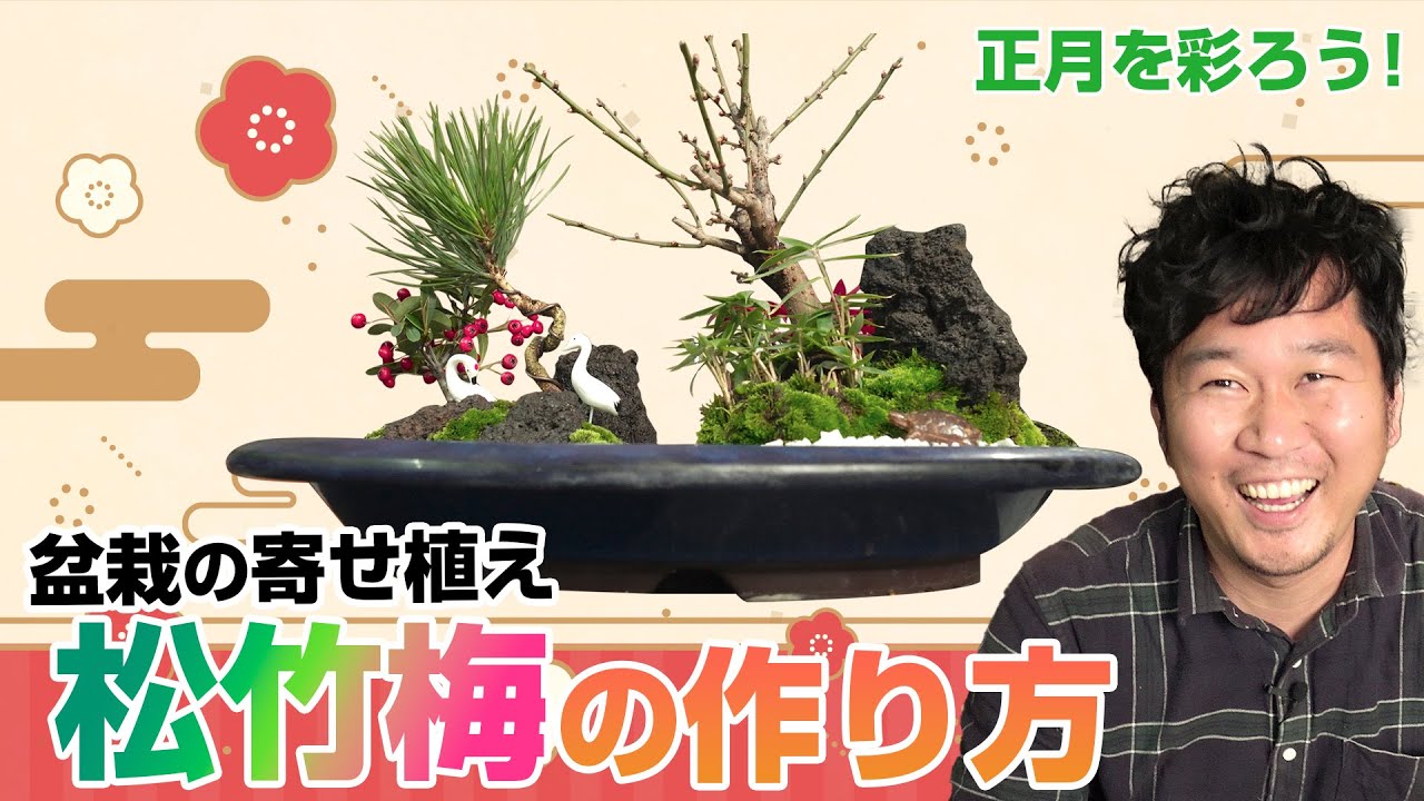 【盆栽の寄せ植え】正月に飾る松竹梅を作ってみよう！