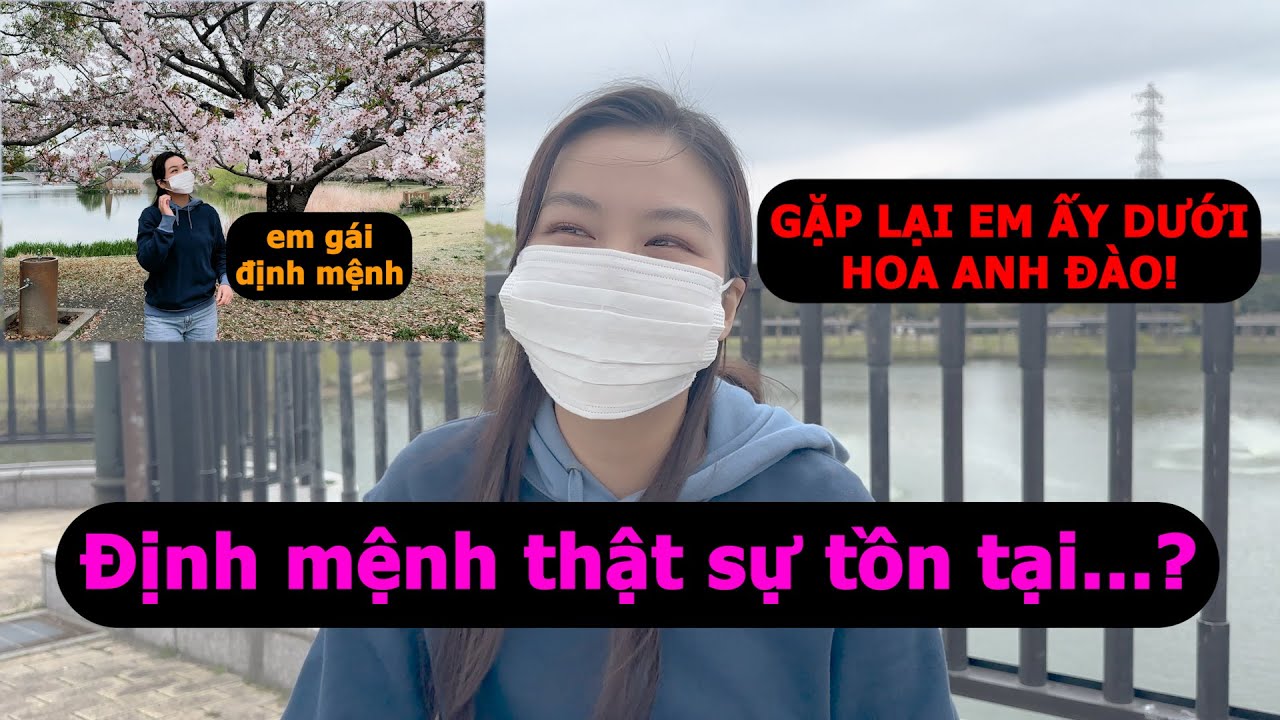 Phần 2 [] Gặp lại em gái Nhật định mệnh giữa mùa hoa anh đào – Chuyện tình đẹp như phim