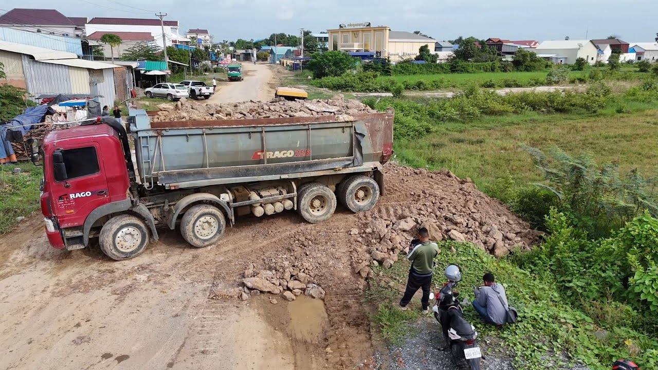 Just New Project Powerful Operation with SHANTUI Dozer and 12-Wheel Dump Trucks Filling Flooded Land