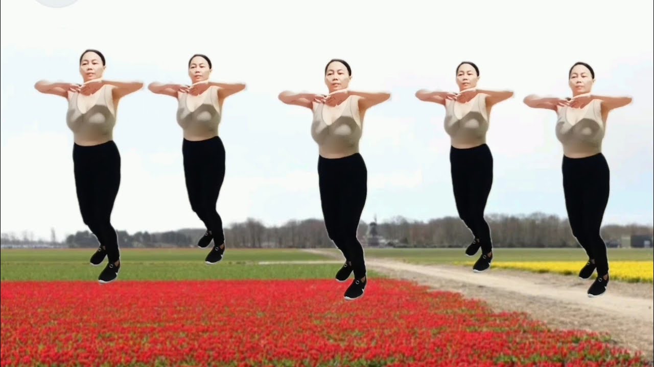 workout dance exercise, weight loss, full body workout, fat burning/lovely dance fit