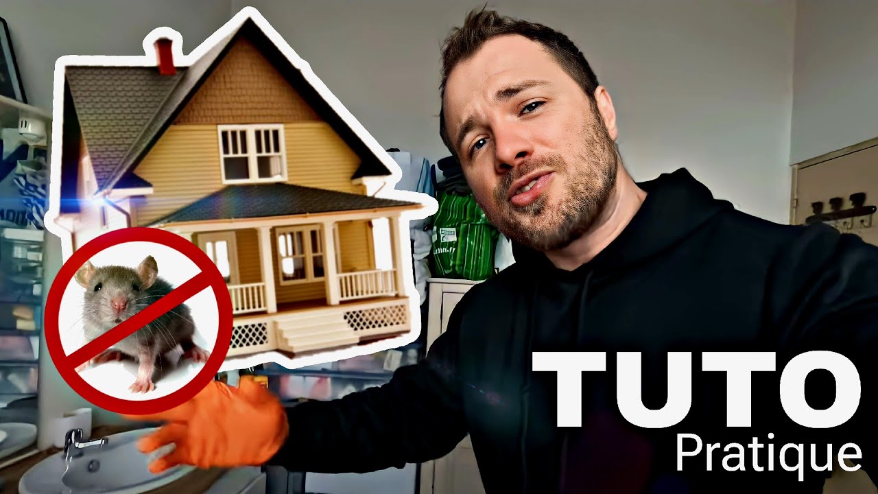 Comment se débarrasser des souris dans la maison ?