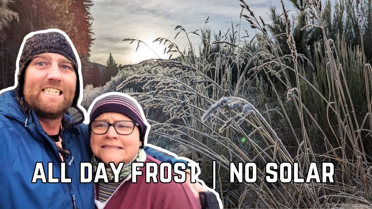 Struggling in winter conditions |  Hanmer springs