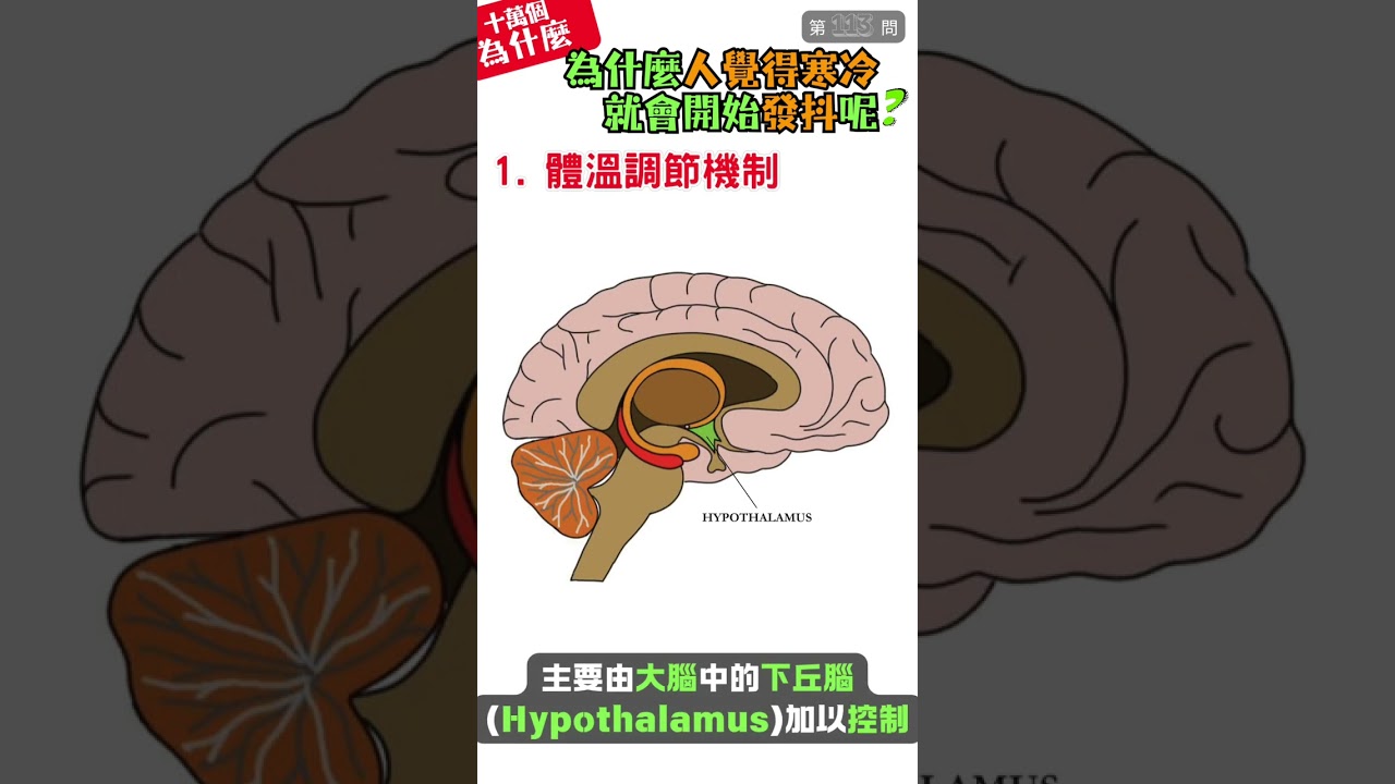 【十萬個為什麼】113. 為什麼人覺得寒冷，就會開始發抖呢？ #PopularScience #Why #科普 #為什麼 #人 #人類 #冷 #寒冷 #發抖 #寒顫