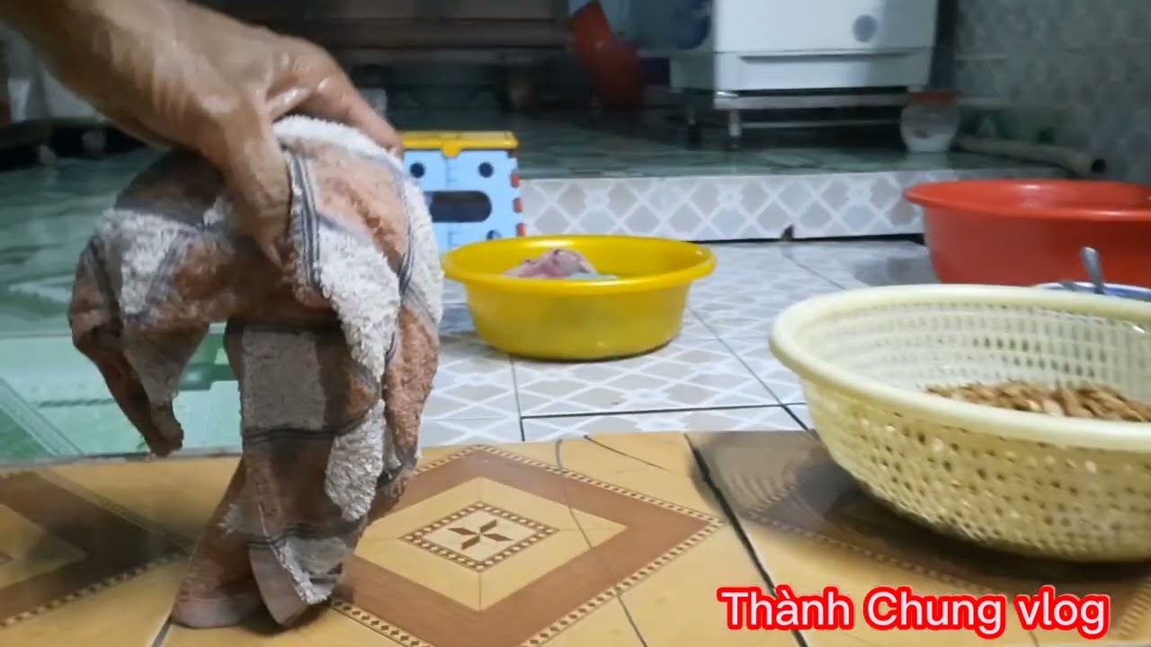 Chia sẽ chi tiết ngâm ủ và gieo trồng hạt khổ qua 919 đầu năm 2023