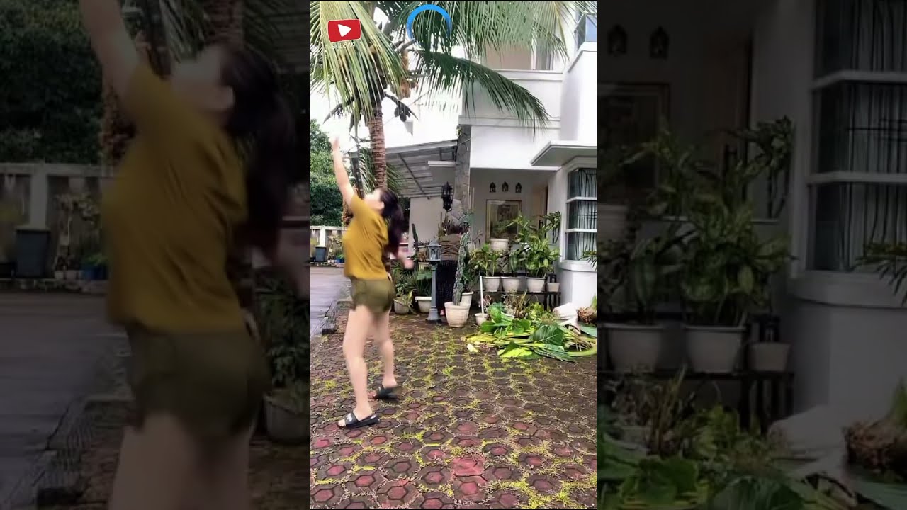 motong pelepah pohon kelapa 🤔