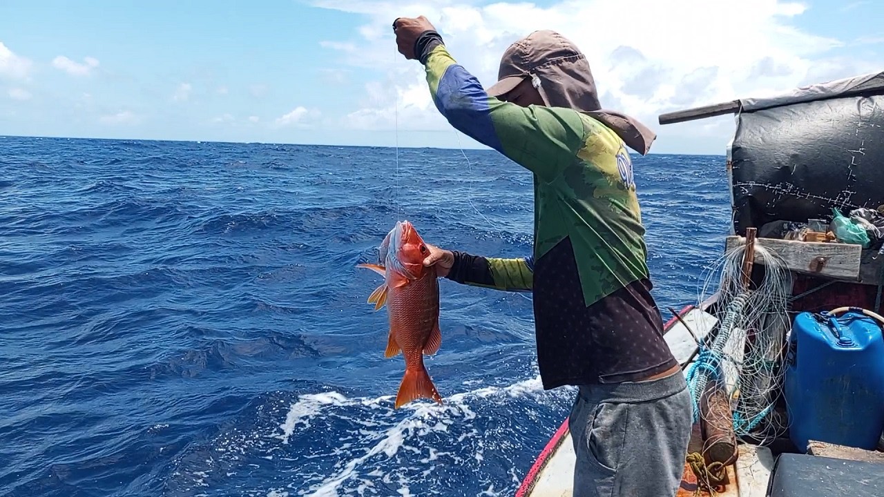 ELES JAMAIS SUBESTIMARAM A GRANDEZA DO OCEÂNO ATLÂNTICO E COLHERAM GRANDES FRUTOS. (PARTE 1)