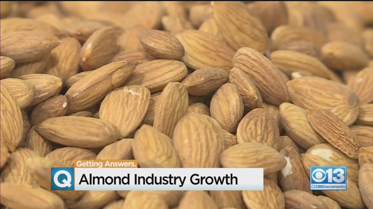 Almond Industry Growth