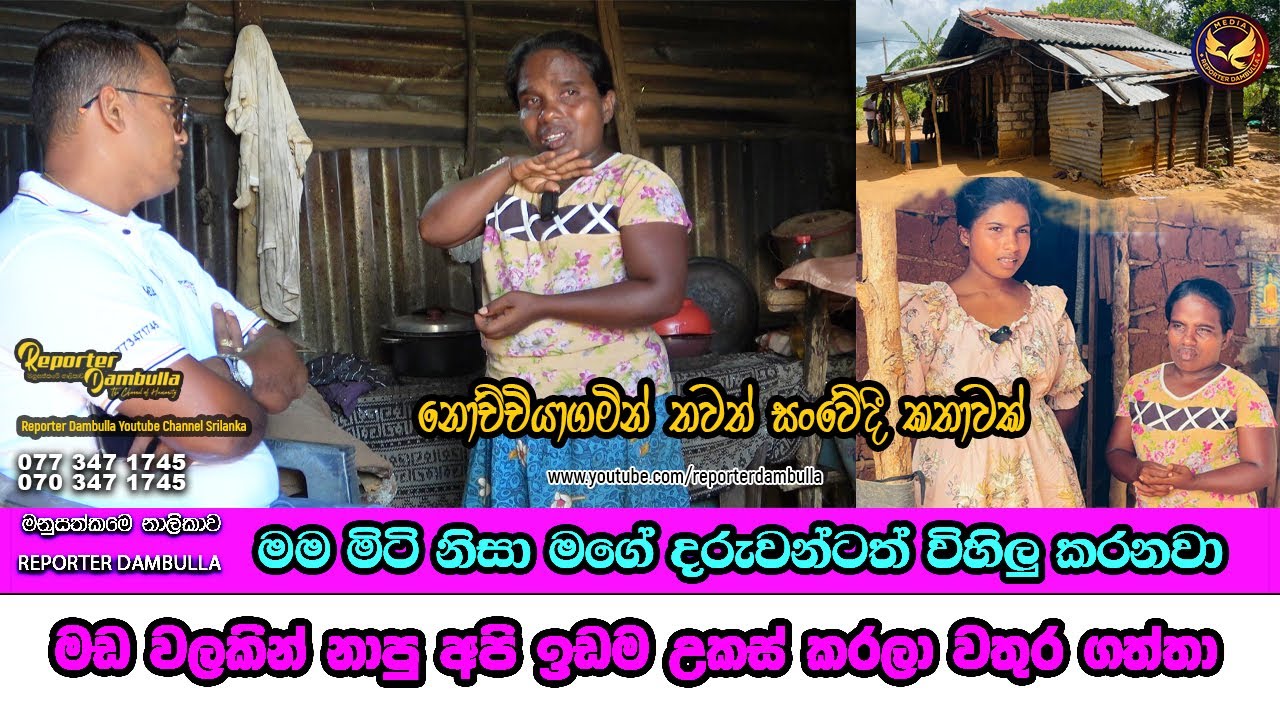 මඩ වලෙන් හැමදාම නාන්න බැරි නිසා ඉඩම උකස් කරලා වතුර ගත්තා || Reporter Dambulla || Kumara Ihalagedara