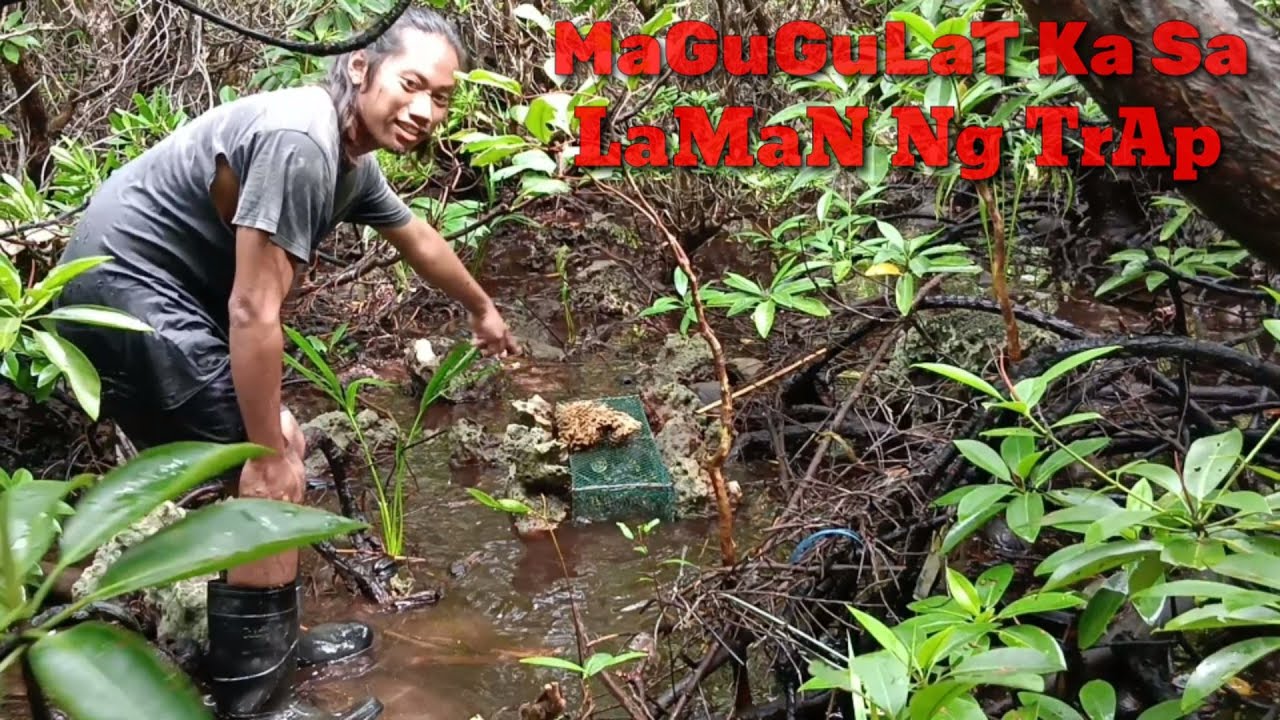 Grabe Isang kinakatakotan na nilalang pumasok sa trap, anu kaya ito?