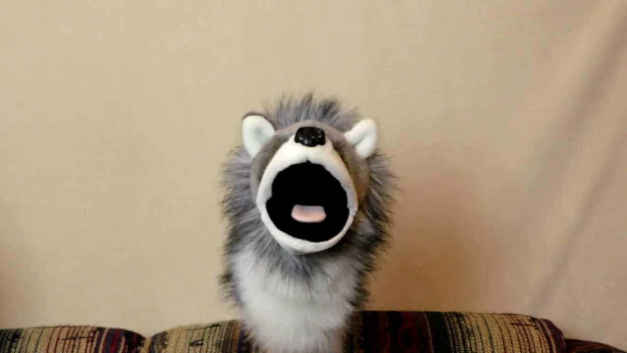 Life Advice with Husky the Wolf ep 2
