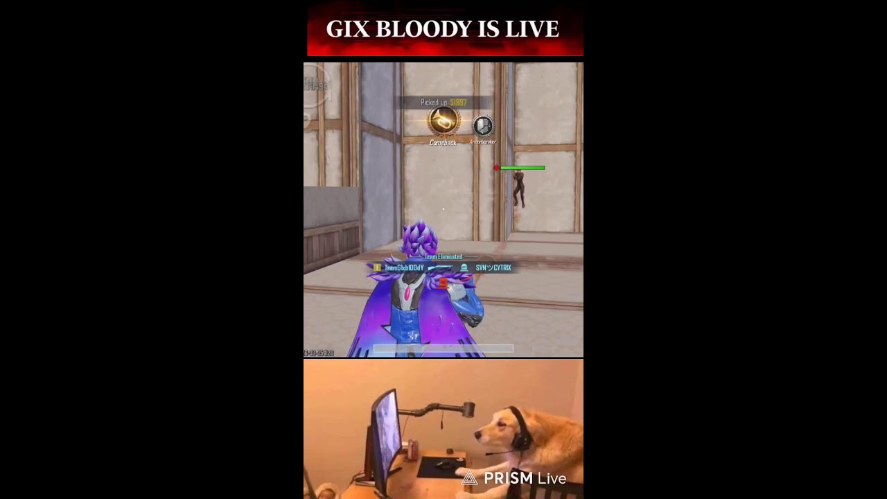 GIX BLOODY IS LIVE  Live Stream