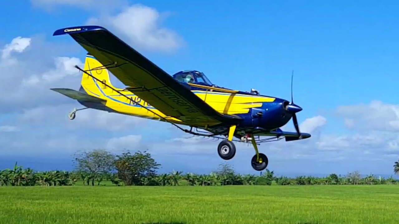 AVIONETA FUMIGANDO ARROZ | DETALLES SOBRE LA AGRICULTURA | 
