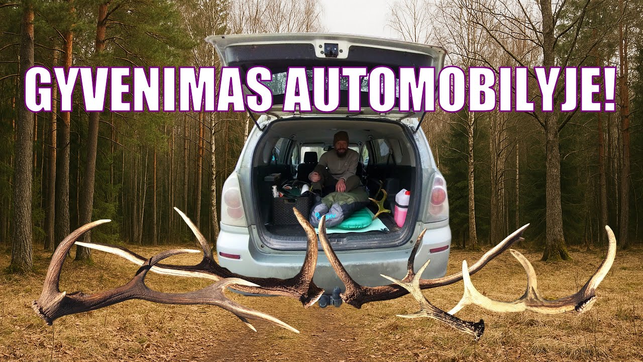 Gyvenimas AUTOMOBILYJE beieškant RAGŲ