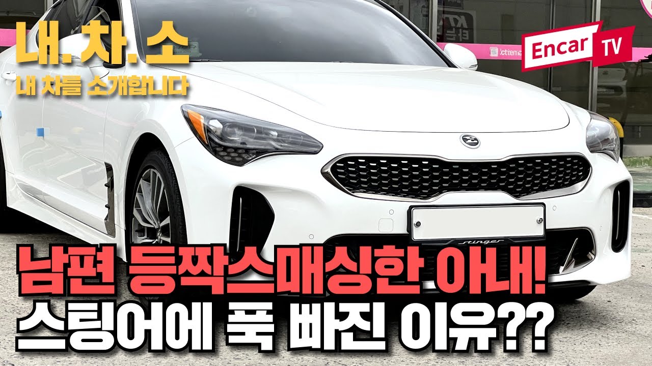 스팅어 사온 남편 등짝스매싱한 아내! 스팅어에 푹 빠진 이유?? 19년 스팅어 2.0 터보 플래티넘 등급