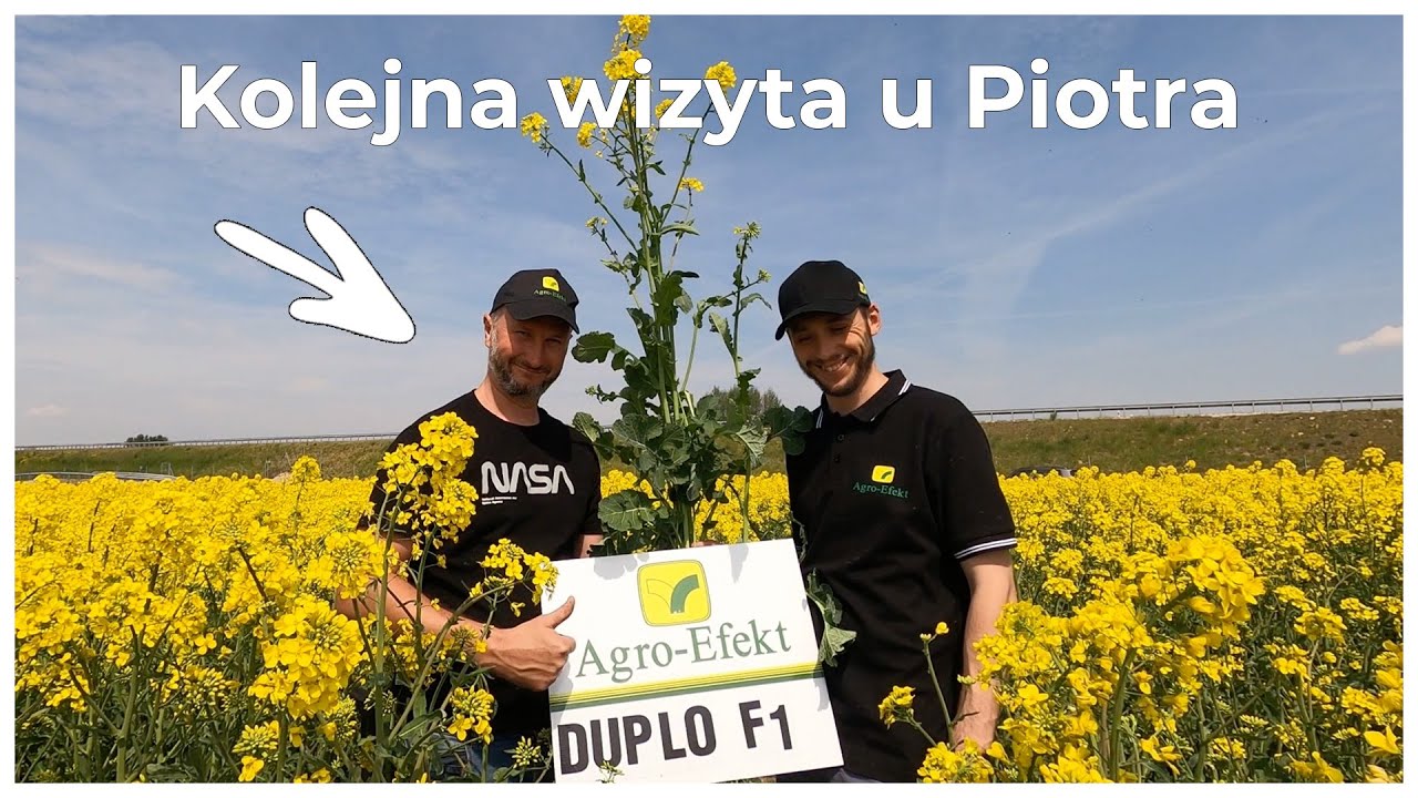 DUPLO F1 – kolejna wizyta u Piotra Japińskiego | Agro-Efekt