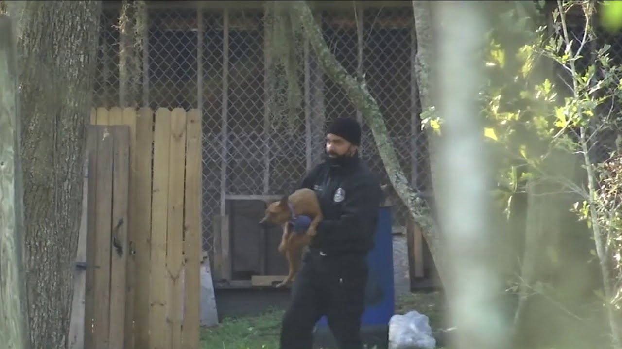 Suspected dog fighting operation busted
