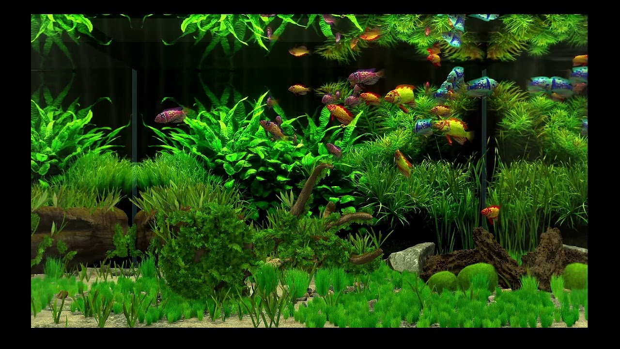 AQUARIUM / FISHTANK IDEAS - ultimate virtual fishtank