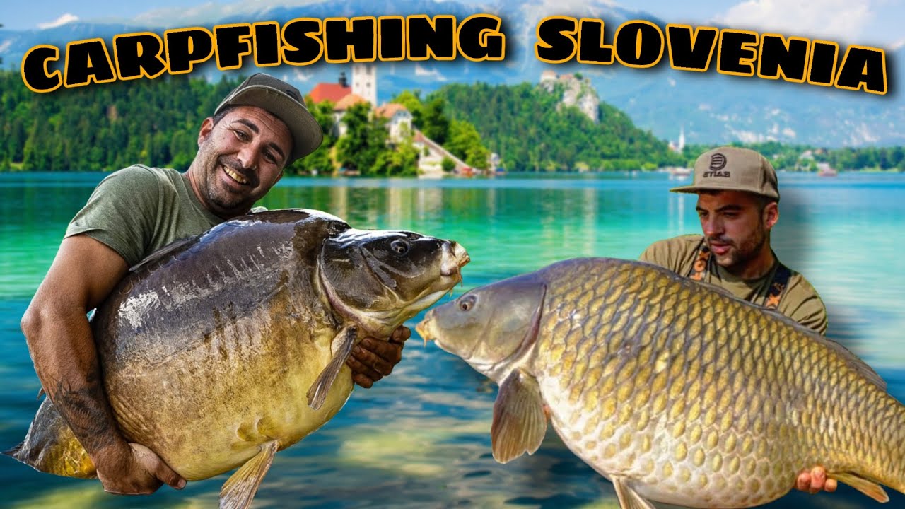 CARPFISHING SLOVENIA