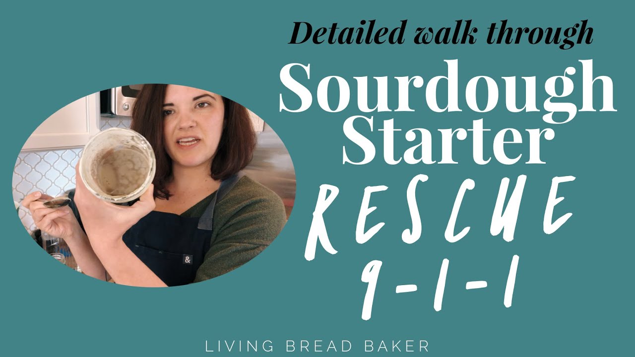 Is my Sourdough Starter Dead? Neglected for one year... See what happens and how I revive a starter