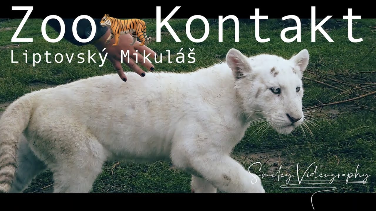 Zoo Kontakt Liptovský Mikuláš 2020 Tatrapolis- Svet miniatur Ostrov fantázie