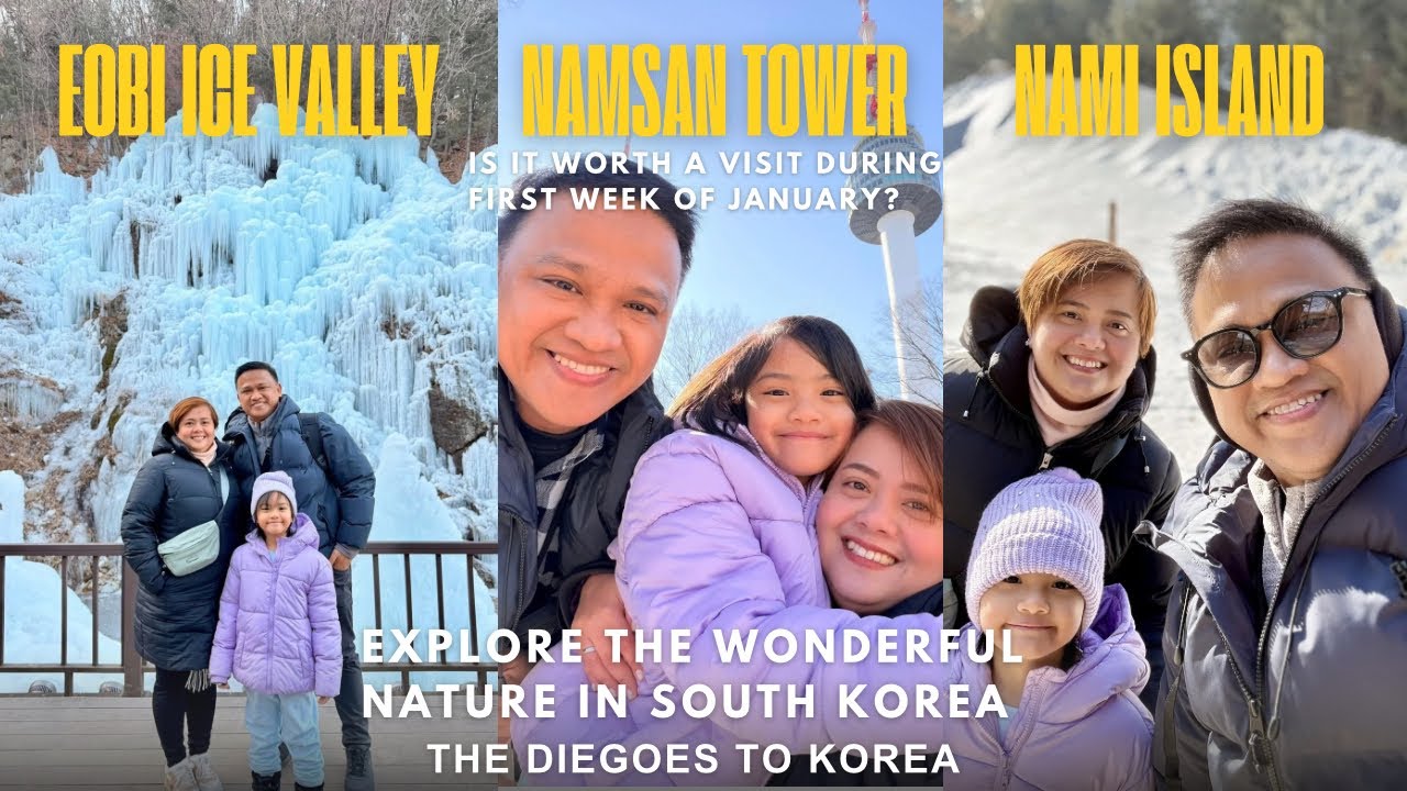 The Diegoes to Korea: Nami Island, Eobi Ice Valley and Namsan Tower