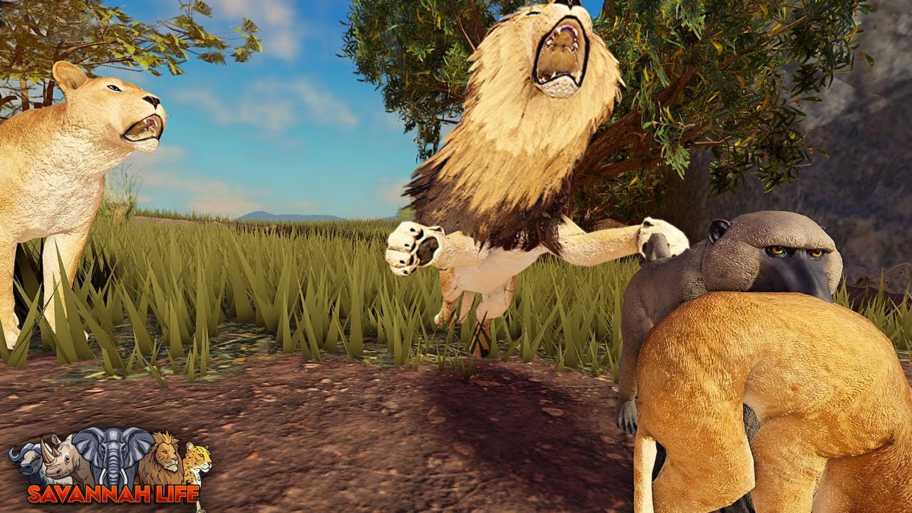 Бабуин крадет львят! | ROBLOX Savannah Life
