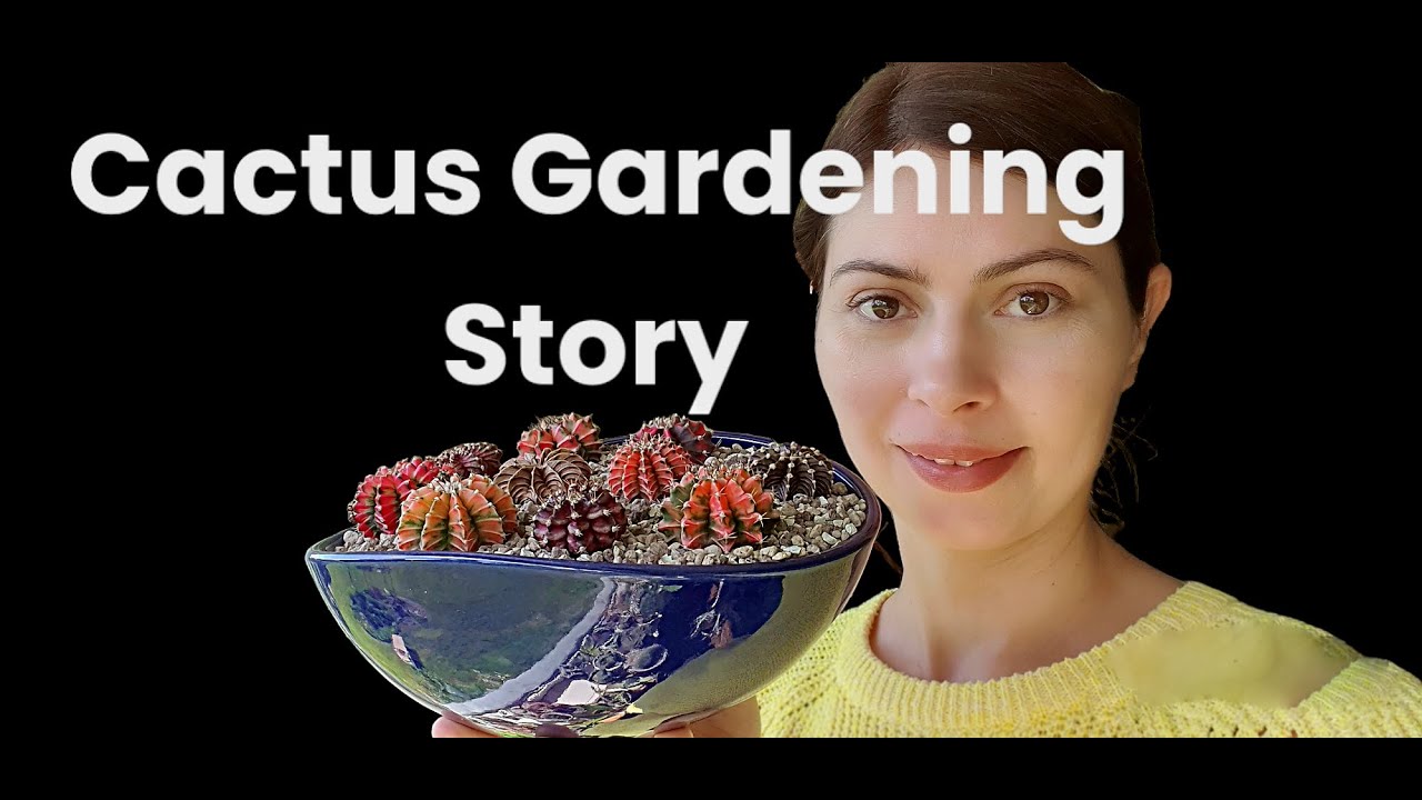 Gymnocalicium Cacti 🌵 Unboxing, Winter Planting and Spring Surprise🌸