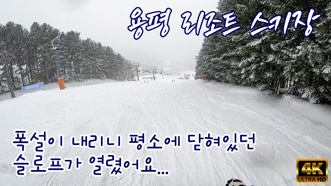 (스키) 용평리조트 스키장 폭설이 내릴때만 열여주는 슬로프! 아주 잼나요.. ^^ #용평리조트  yongpyong ski resort