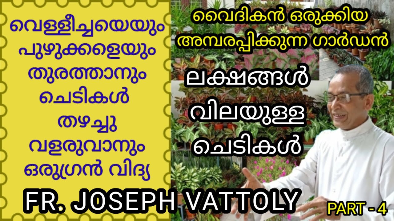GARDEN TOUR/GARDEN TOUR PART4/ARRANGEMENTS OF GARDEN/TIPS&CARE FOR PLANTS/ FR.JOSEPH VATTOLY