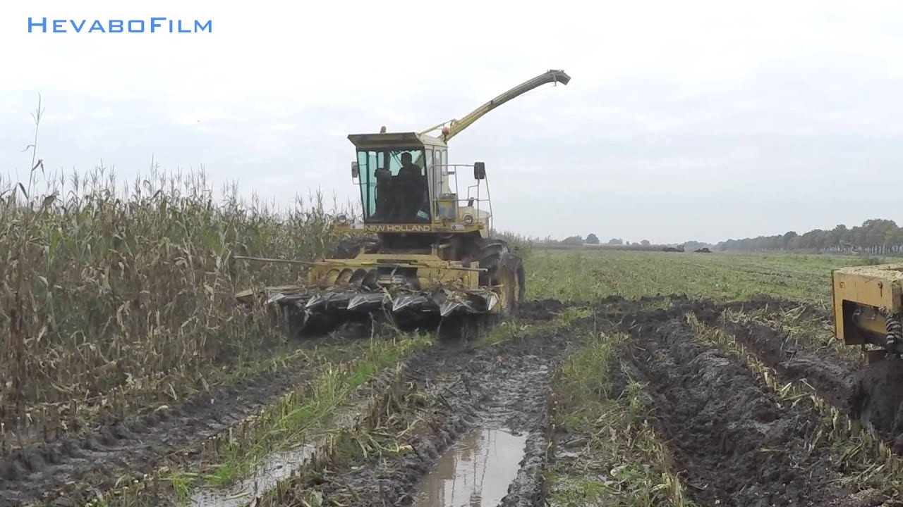 Mais Hakselen in de modder met de New Holland