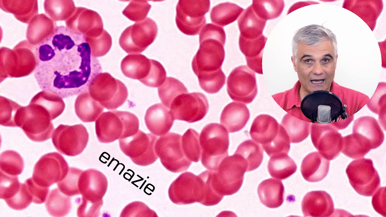 Il sangue