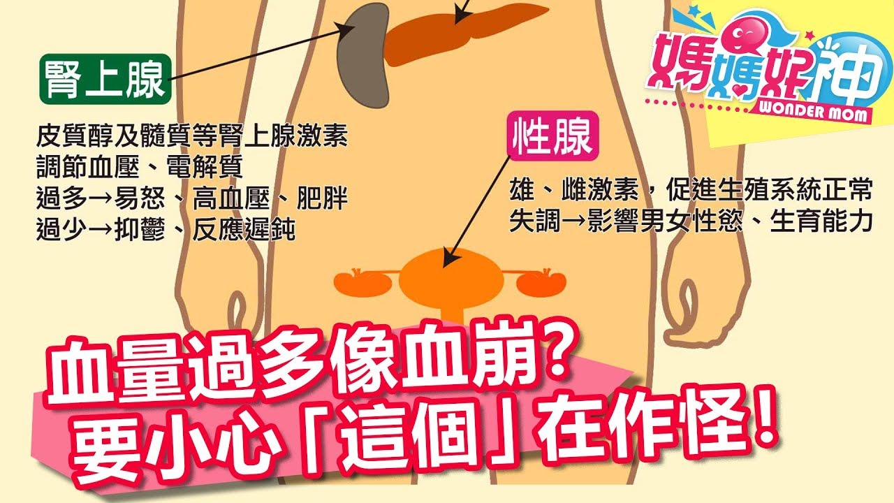 血量過多像血崩？要小心「這個」在作怪！媽媽好神 20180724 part3/4  EP283 米可白 陳保仁