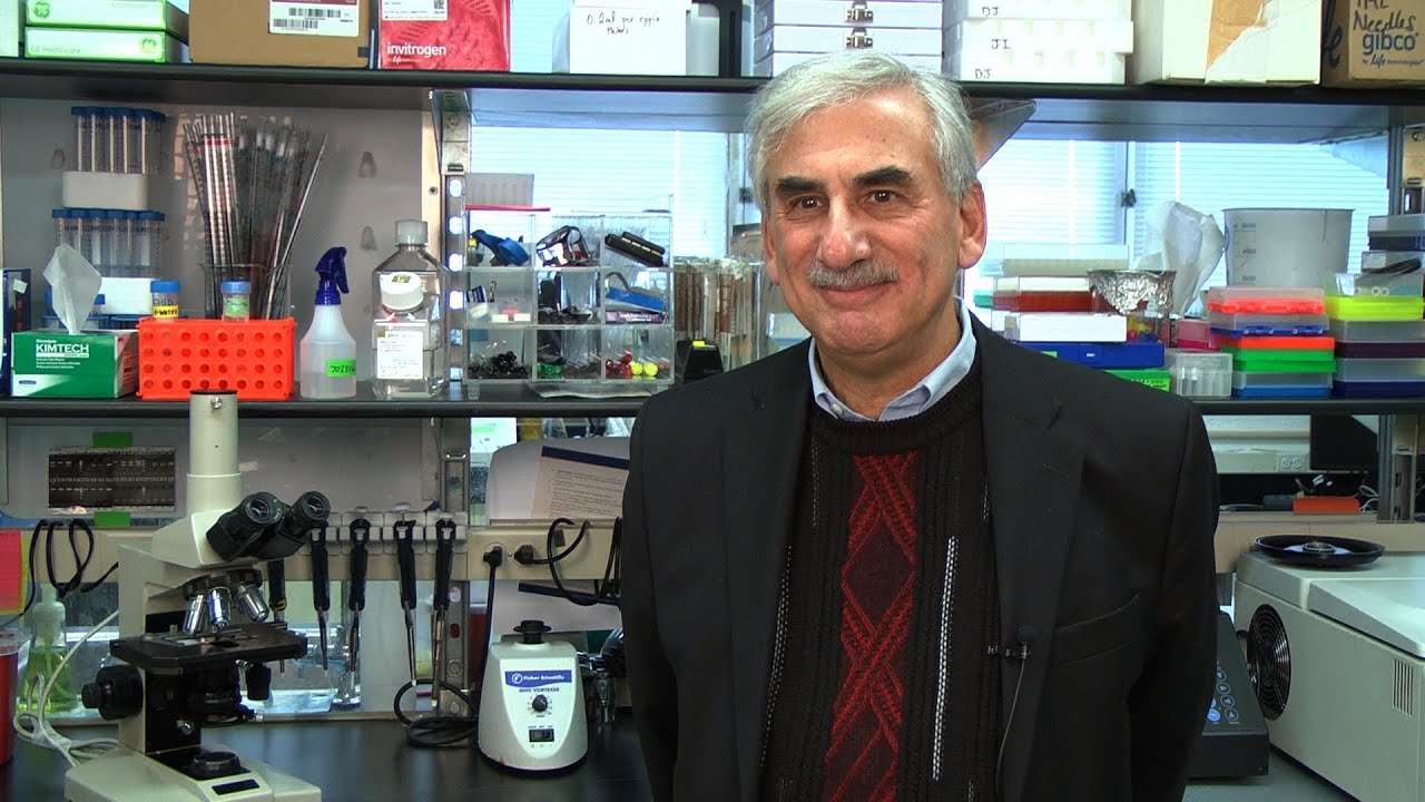 The Western Diet and Colon Cancer: Leonard Augenlicht, Ph.D.