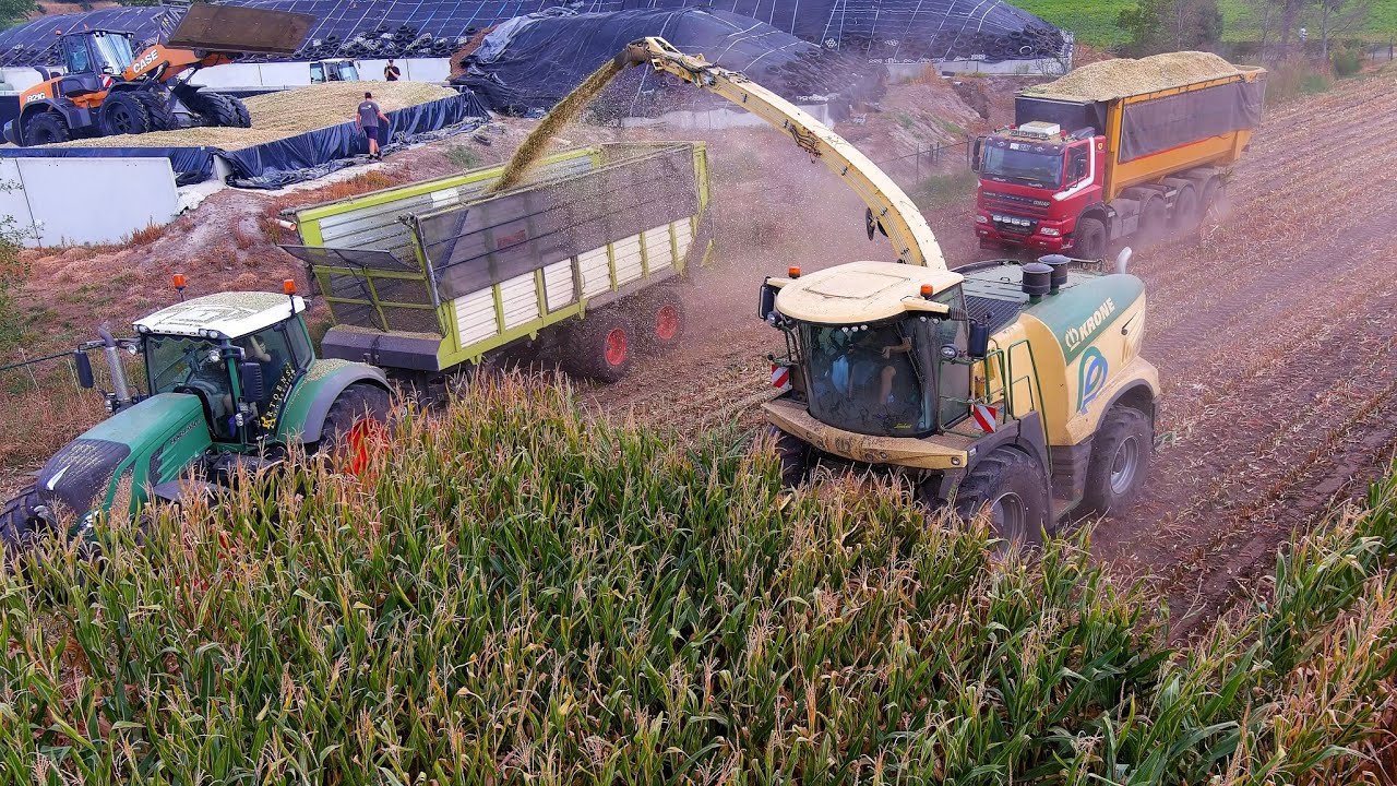 Mais 2025 : Krone BIG X 780 | GINAF 8X8 | Mais hakselen | Maisernte 2025 | Harvest | Fendt | Kaweco