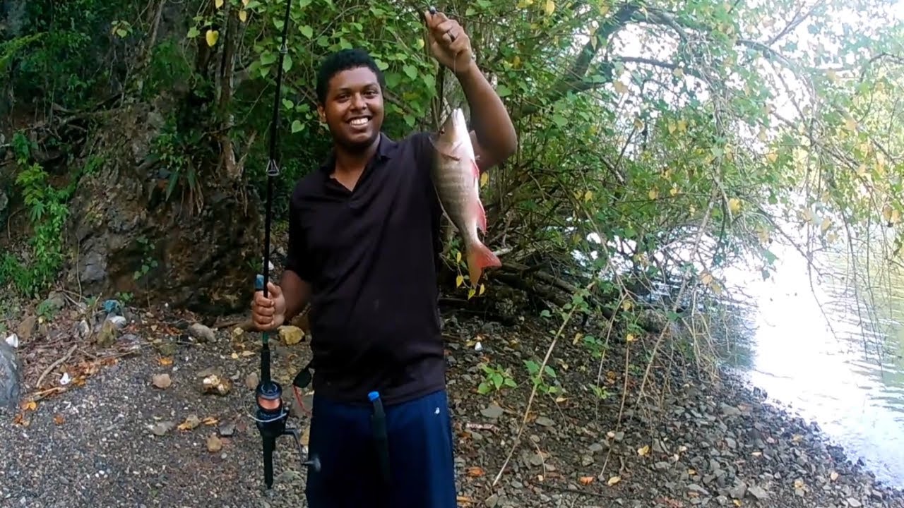 Rock Fishing in Chaguaramas! - Trinidad, Caribbean