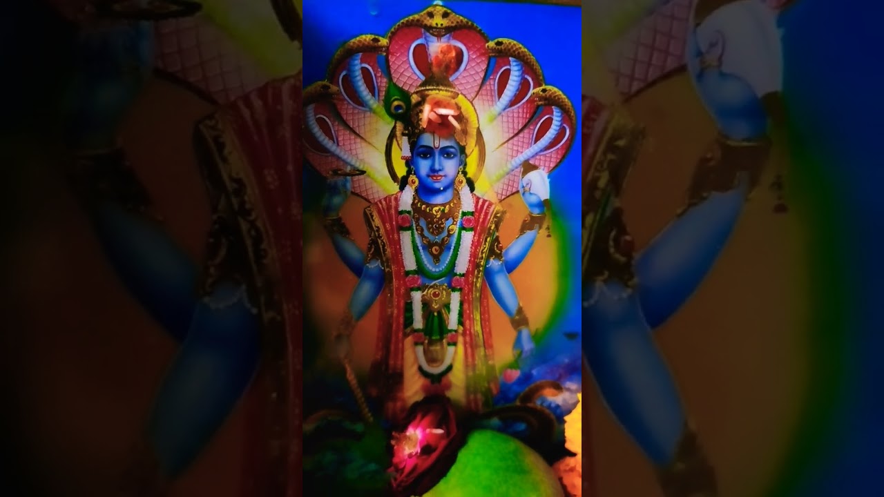 Jai Vishnu Bhagwan🚩