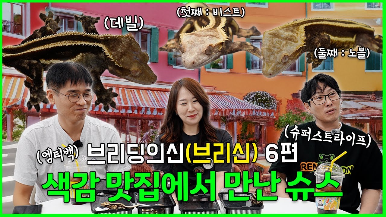 게코 색감 맛집 인증🎨! 슈퍼스트라이프부터 엠티백까지 총정리🔍 [브리신 ep.6]