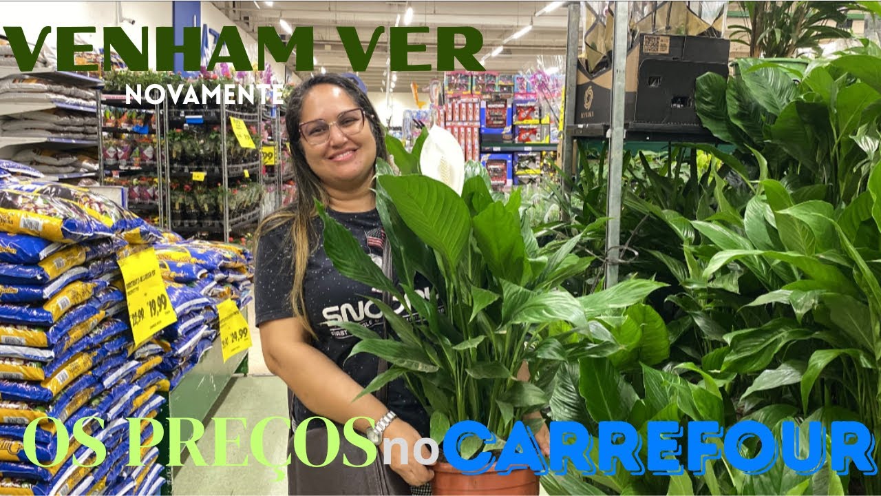 ACHADINHOS VERDES no CARREFOUR! 💚🪴✨