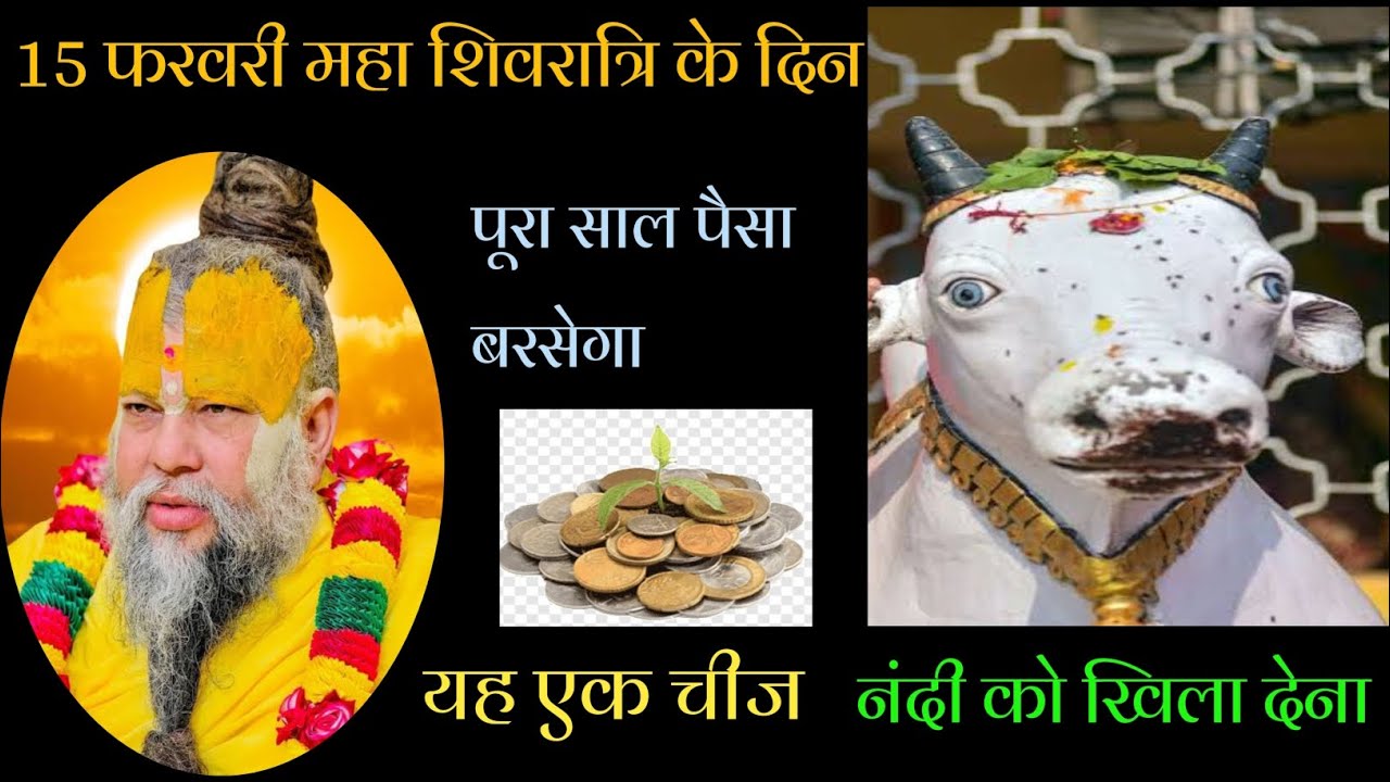 15 फरवरी महा शिवरात्रि के दिन।। यह एक चीज नंदी को खिला देना।। पूरा साल पैसा बरसेगा।। 