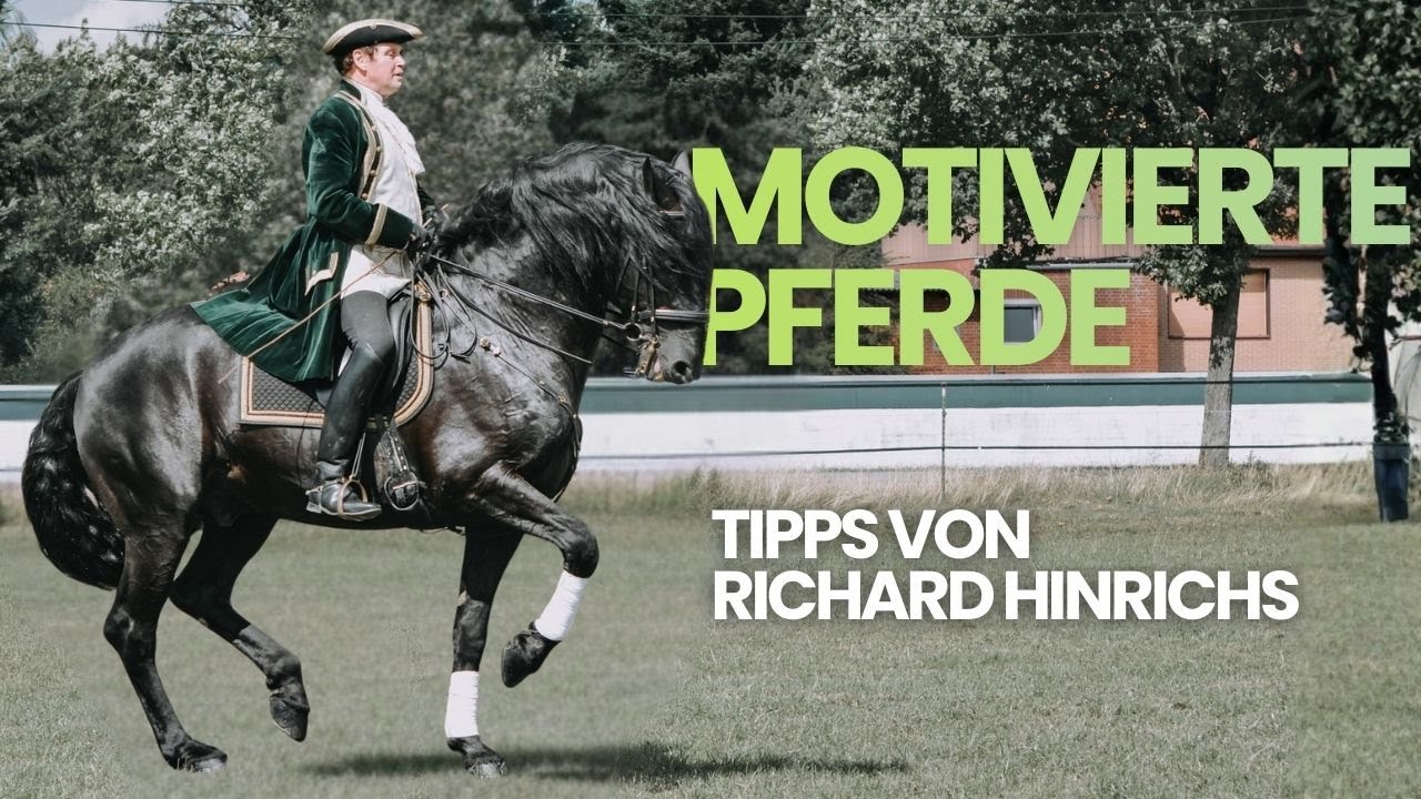Motivation im Dressurreiten | So förderst du Freude & Ausdruck beim Pferd