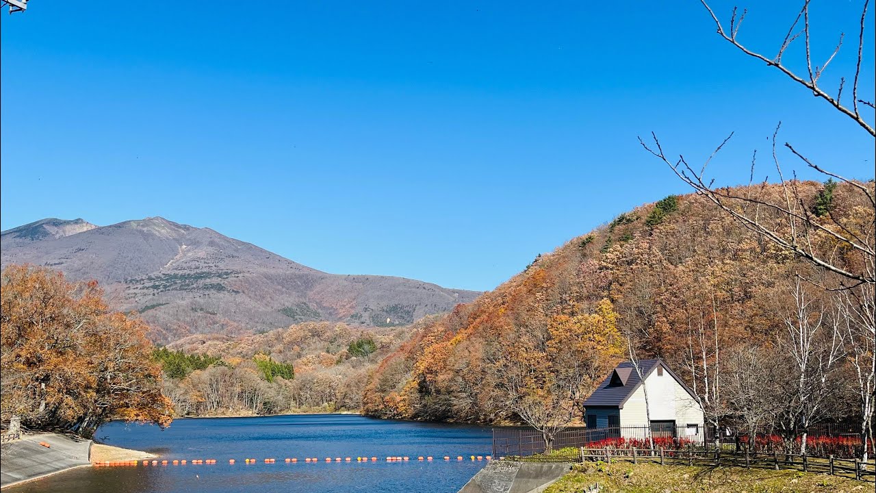 紅葉の🍁横川渓谷・やまびこ吊橋・長老湖　2025年11月17日