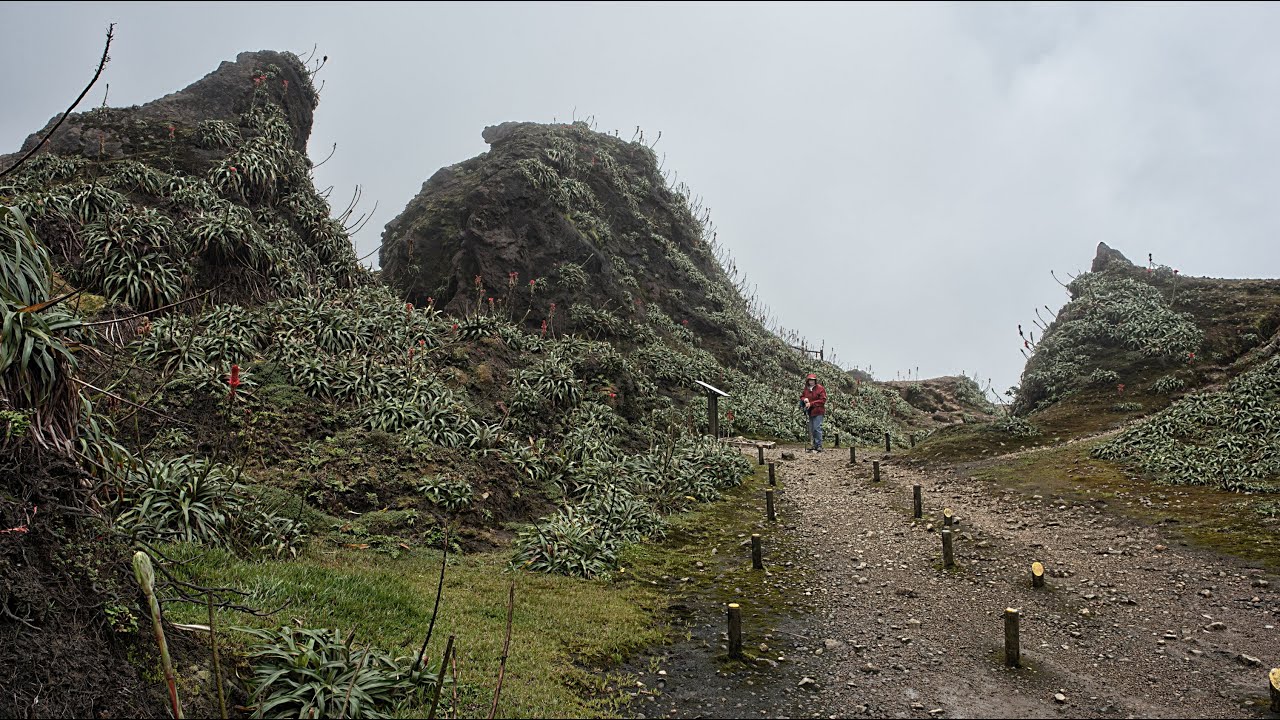 036 - Île des caraïbes - La Guadeloupe - Volcan la soufrière