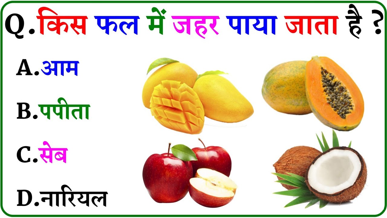 GK Question || GK In Hindi || GK Question and Answer || GK Quiz ||