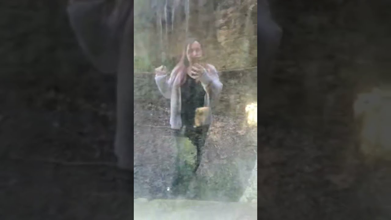 De camino al nacimiento del río en ogassa