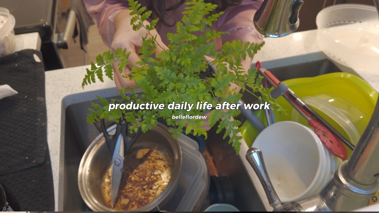 daily life after work *cleaning, staying productive, enjoying life as it is*